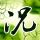谷歌翻译